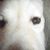 Henry Klassen's profile image