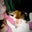 Laura Buckner's profile image