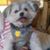 Debbie Arbuthnot's profile image