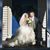 Marcella Murphy's profile image