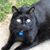 Autumn Armstrong's profile image