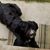 Robert Gagnon's profile image