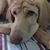 Tammy Carlisle Grubbs's profile image