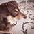 Yuko Brown's profile image