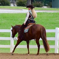 Catherine Brock Cobb's profile image