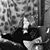 Chrissy Regan Smythe's profile image