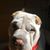 Carol Phelps Davis's profile image