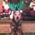 Carol Carlton's profile image