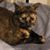 Susan Jones's profile image