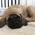 Christine Baeck's profile image