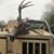 John Dodson Honeycreek Kennels's profile image