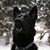 Sharon M Burke's profile image