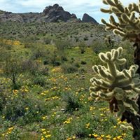 Lewis Sollars's profile image