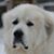 Deb Zirkle's profile image