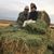 Jo Hoobery Huskey's profile image