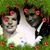 Linda Umfleet Stadge's profile image