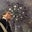 Matthew McQuilkin's profile image
