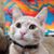 Donna Harris's profile image