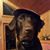 Kris Hofstedt Fisher's profile image
