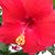 Neal Ballard's profile image