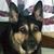 Joy Mckay's profile image