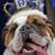 David Goodwin's profile image