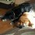 Linda Adair Redman's profile image