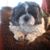 Nancy Morin's profile image