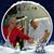 Lynn Miller's profile image