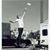 Stuart Lyall's profile image