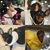 Laurie Ricevuto's profile image
