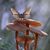 Melissa Gerringer's profile image