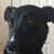 Mary Svelnis's profile image