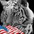 Dale Ryan's profile image