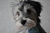 Terie F.'s profile image