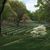 David Crosser's profile image