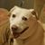 Dana Whitney's profile image