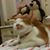 Giam Lay Hoon's profile image