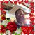 Brenda Dowdell's profile image