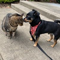 Bell Bell's profile image