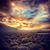 Ruth Villiger Wilson's profile image