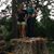 Susan Biggers's profile image