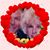 Dale Frye's profile image