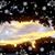 Teresa Campbell's profile image