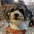 Jan Thomas Conover's profile image
