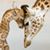 Bonnie Taylor Jessop's profile image