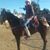 Juan Arambula's profile image