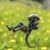 Lee Wilson's profile image