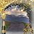 Pat Wiseman-Den Houten's profile image
