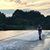 Michelle Grove Bonsick's profile image
